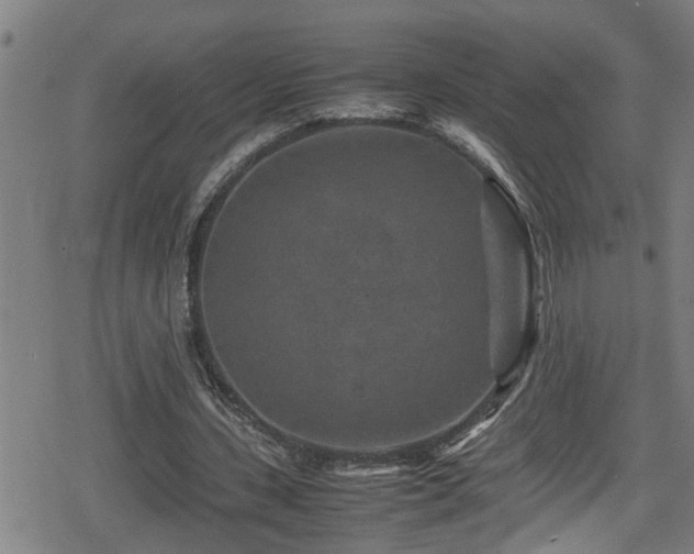 X0000078860531200611131205