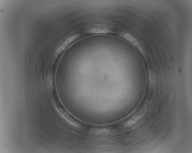 X0000078860533200611131205