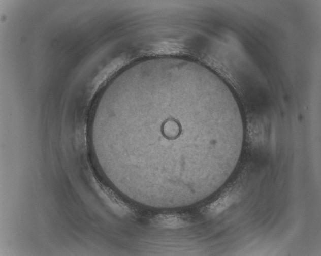 X0000078860534200611131205