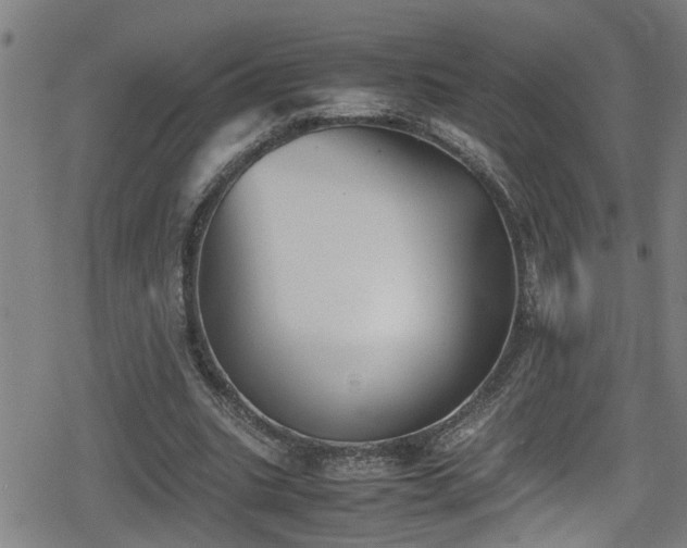 X0000078860535200611131205