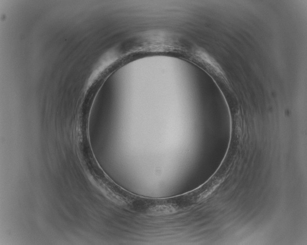 X0000078860536200611131205