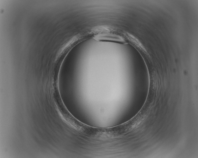 X0000078860538200611131205