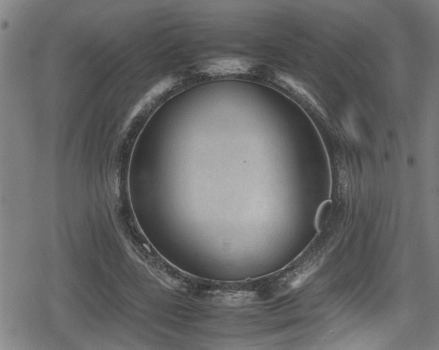 X0000078860539200611131205