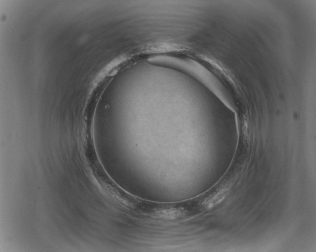 X0000078860540200611131205