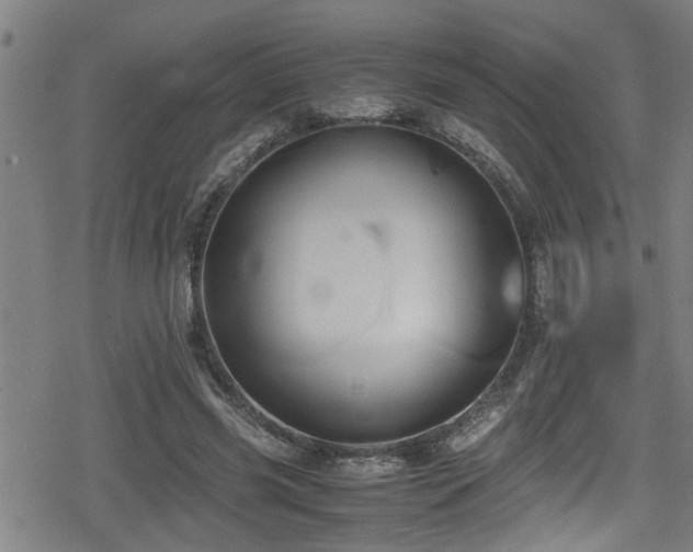 X0000078860541200611131205