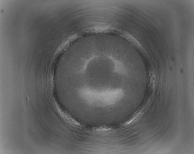 X0000078860542200611131205