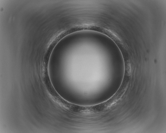 X0000078860544200611131205