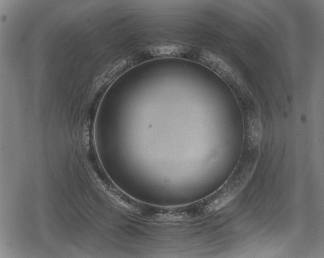 X0000078860545200611131205