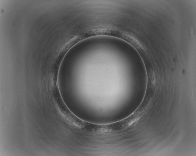 X0000078860546200611131205