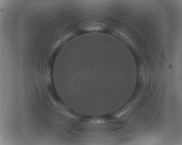 X0000078860547200611131205