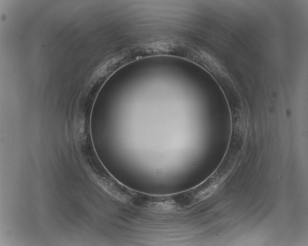 X0000078860548200611131205