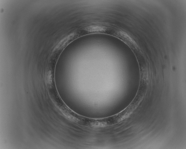 X0000078860549200611131205