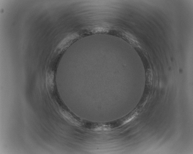 X0000078860550200611131205