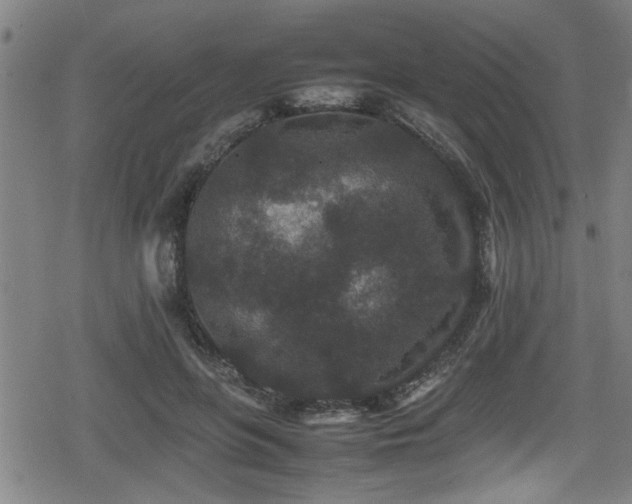 X0000078860551200611131205