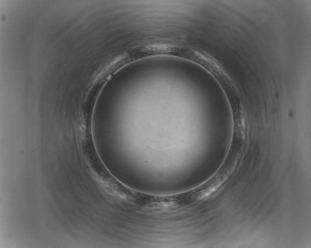 X0000078860552200611131206