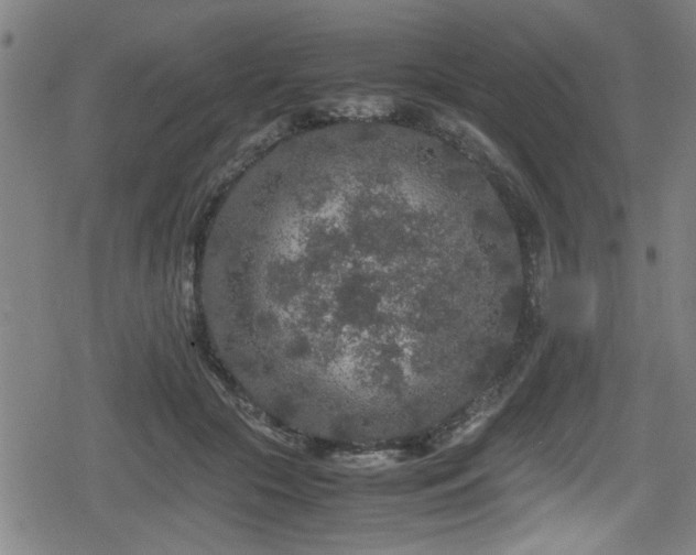 X0000078860553200611131206