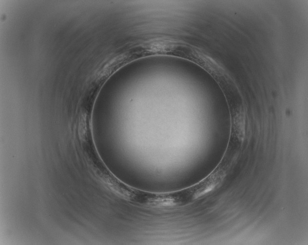 X0000078860554200611131206