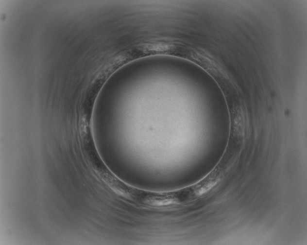 X0000078860555200611131206