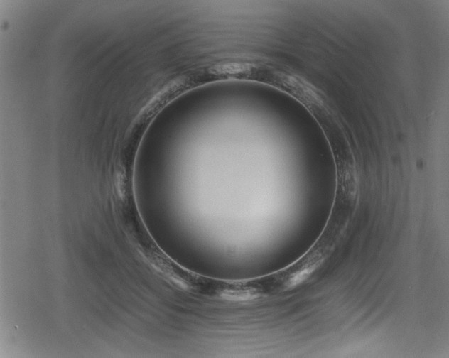 X0000078860556200611131206