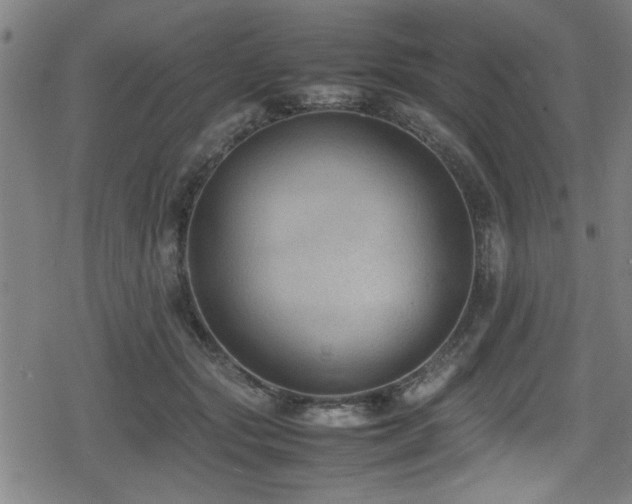 X0000078860557200611131206