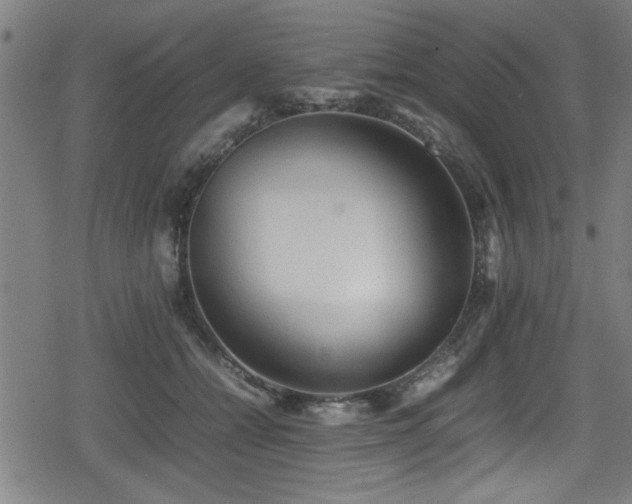 X0000078860558200611131206