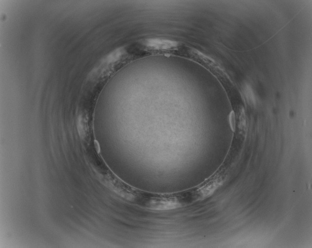 X0000078860559200611131206