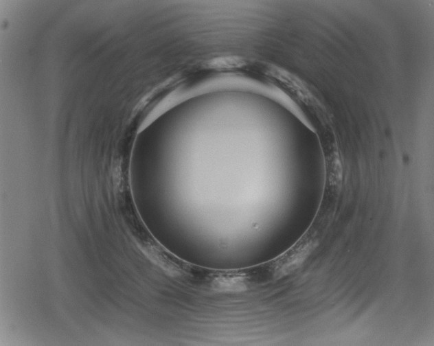 X0000078860560200611131206