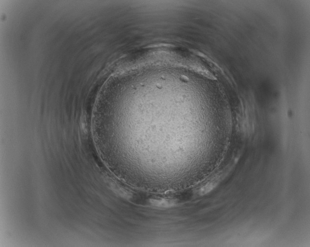 X0000078860561200611131206