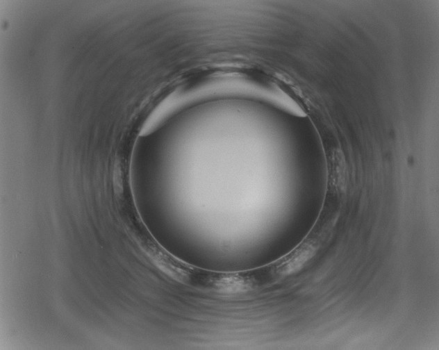 X0000078860562200611131206