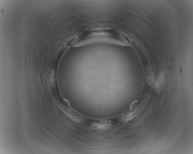 X0000078860563200611131206