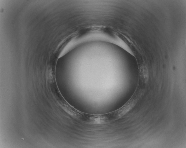 X0000078860564200611131206