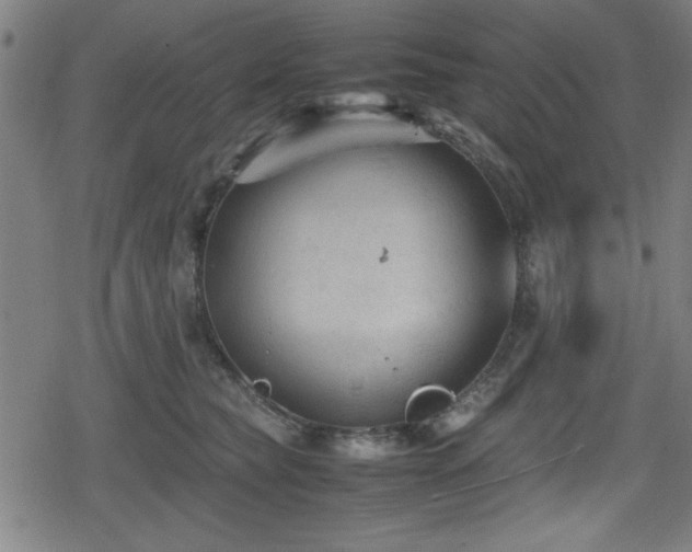 X0000078860565200611131206