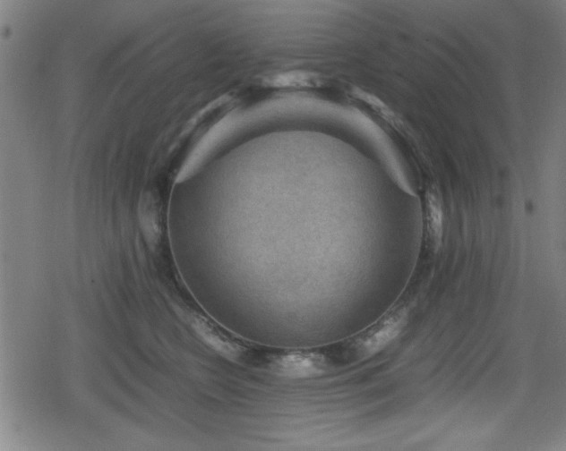 X0000078860566200611131206