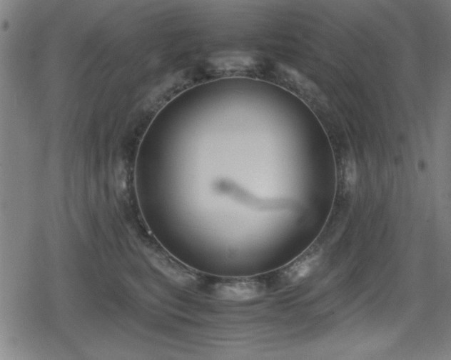 X0000078860567200611131206