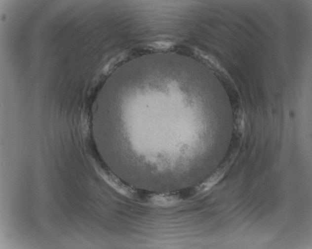 X0000078860568200611131206