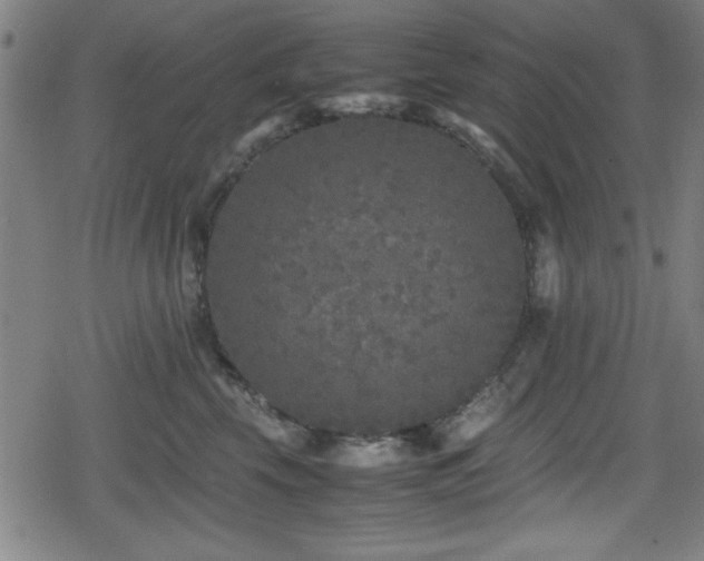 X0000078860569200611131206