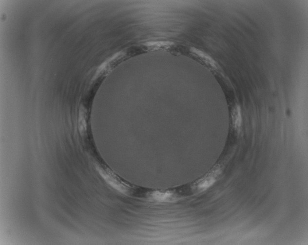 X0000078860570200611131206