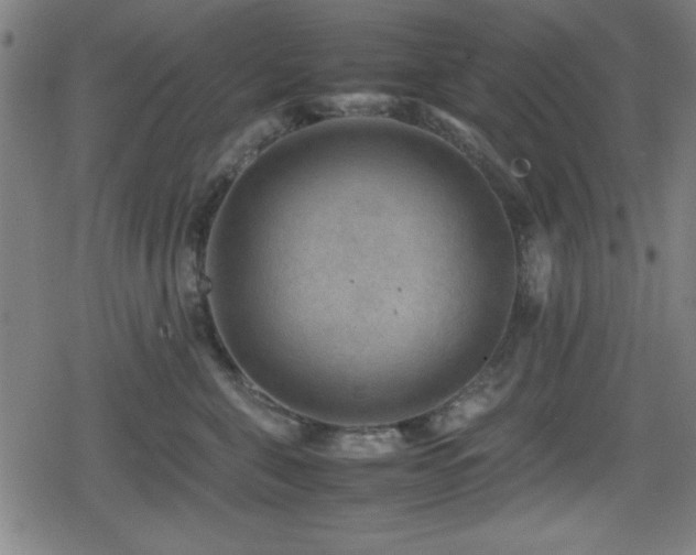 X0000078860571200611131206