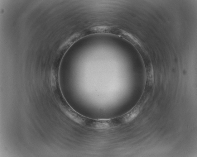 X0000078860572200611131206