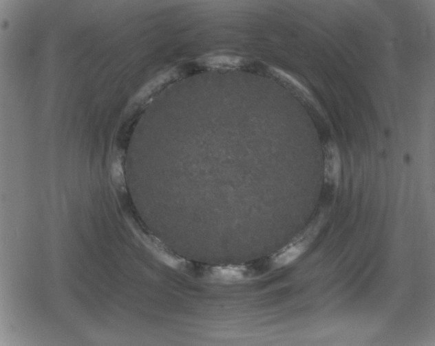 X0000078860573200611131206