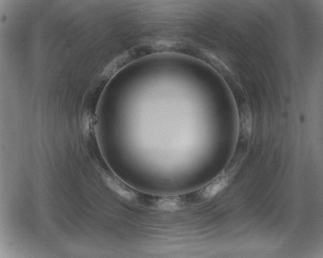 X0000078860574200611131206