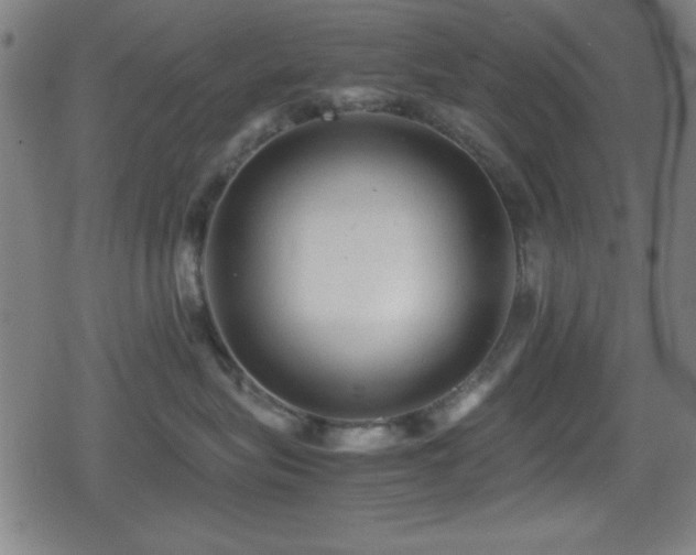 X0000078860575200611131206