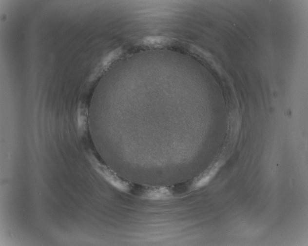 X0000078860576200611131206