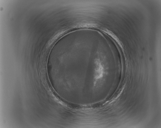 X0000078860577200611131205