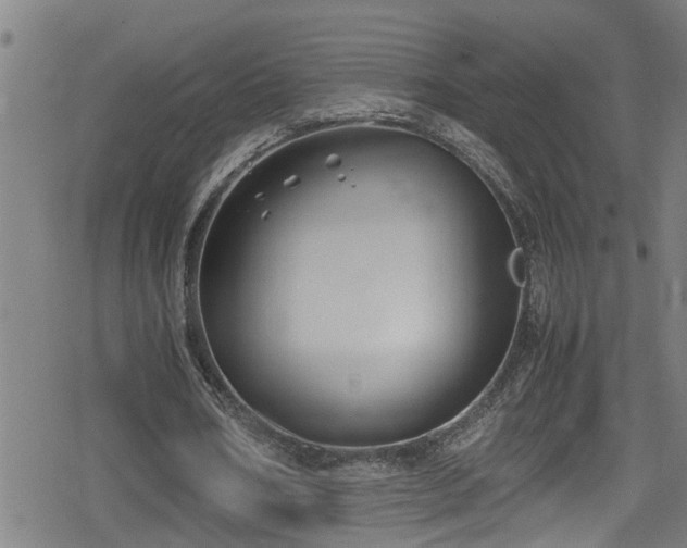 X0000078860578200611131205