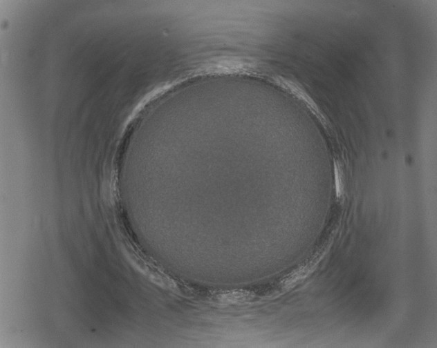 X0000078860579200611131205