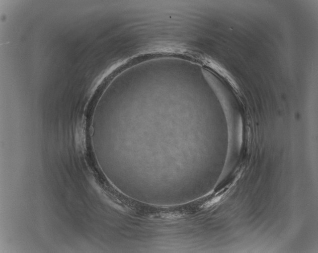 X0000078860580200611131205