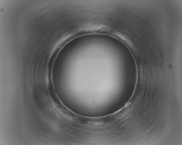 X0000078860582200611131205