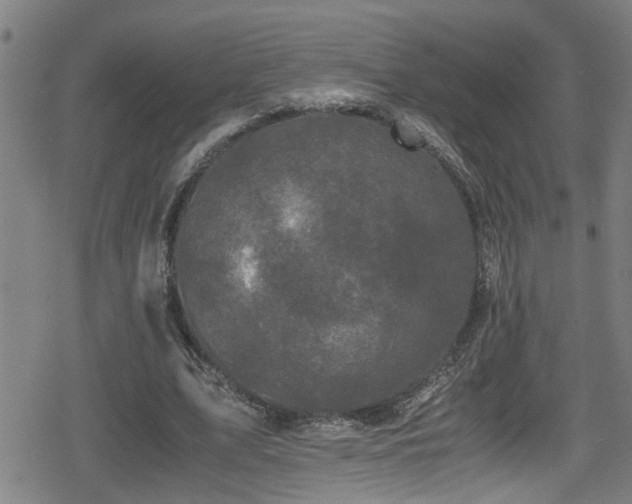 X0000078860583200611131205