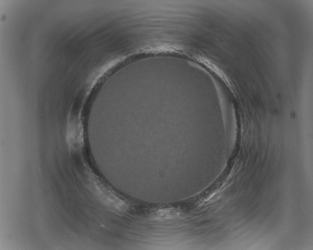 X0000078860584200611131205